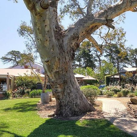 Longview Vineyard Bed & Breakfast Macclesfield Ngoại thất bức ảnh